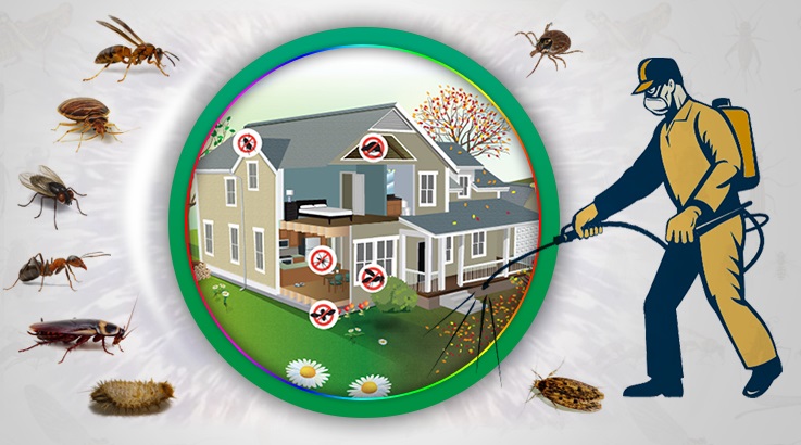 Çamdibi Böcek İlaçlama